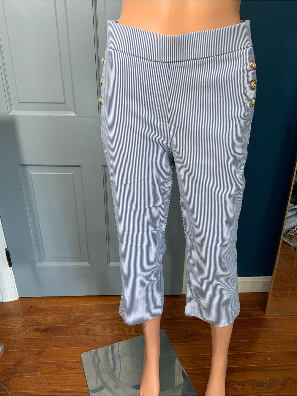 Counterparts Blue and White Pinstripe Cropped Pants